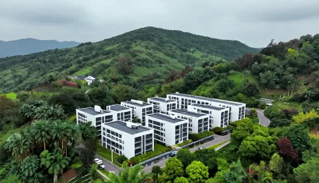 如何优化系统性能以提升业务操作效率